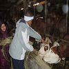 Onnion 2006 52